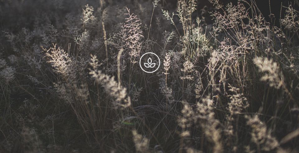 BeWooden -