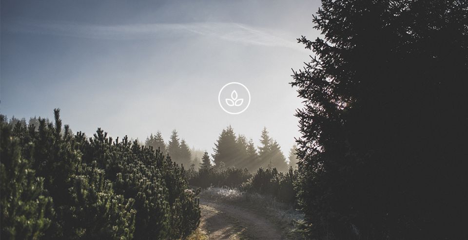 BeWooden -