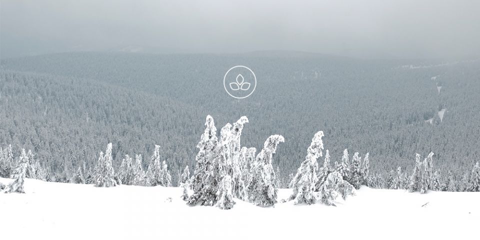 BeWooden -