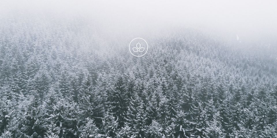 BeWooden -