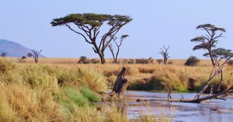 Deň Afriky: Ako pomáha BeWooden africká edícia?