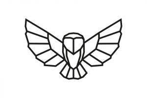 Owl Siluette