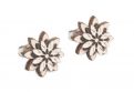 Drevené náušnice Bellis Earrings