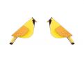 Drevené náušnice Sunny Cutebird Earrings