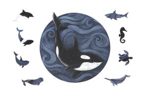 Drevené puzzle – Kosatka