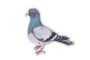 Pigeon Brooch by Epipi